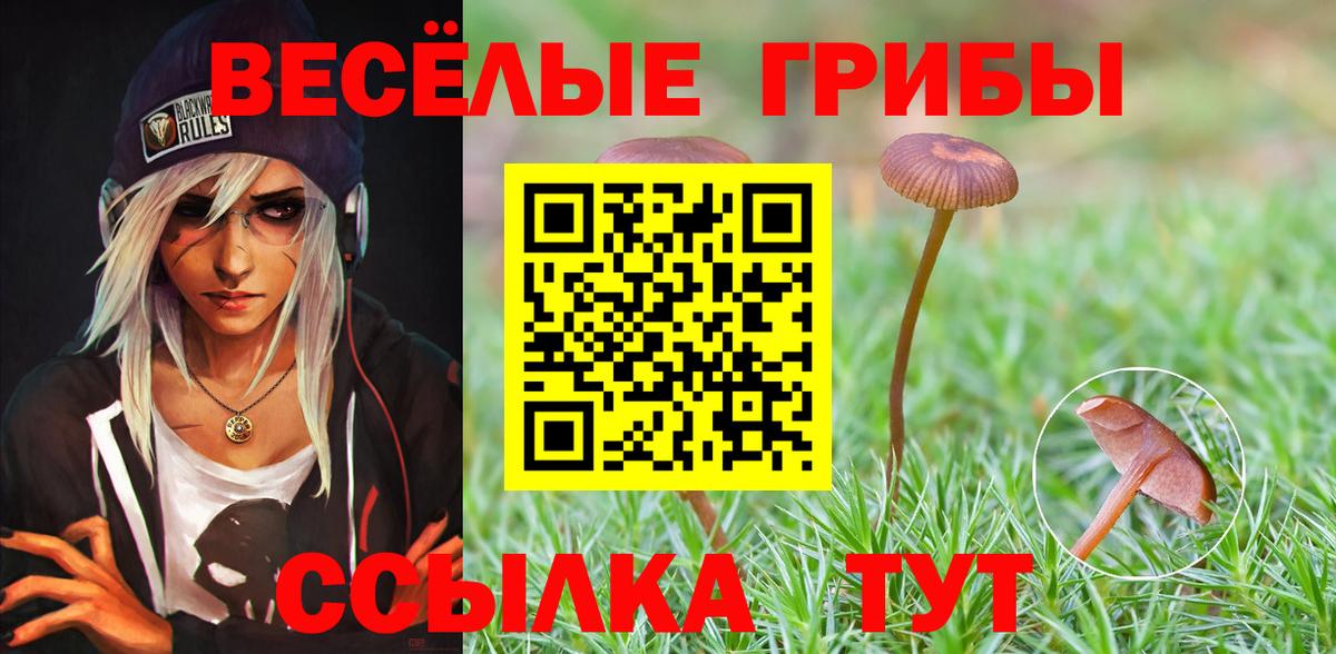Сарапул  где можно купить   Вход с VPN  Галлюциногенные грибы Magic Shrooms 